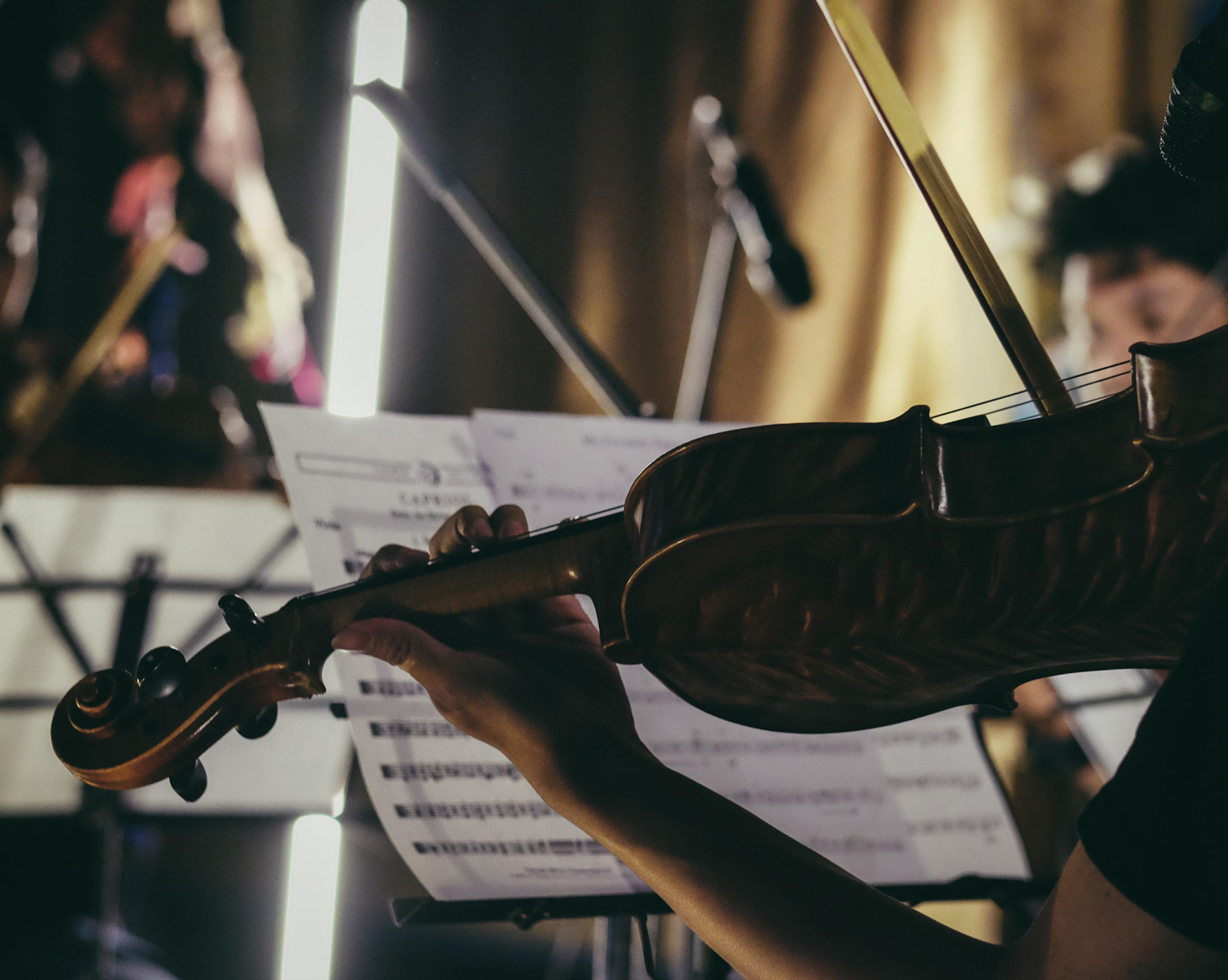 precios violin para ni&ntilde;os